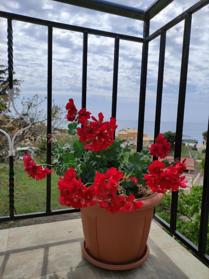 House Theofilos Apartment