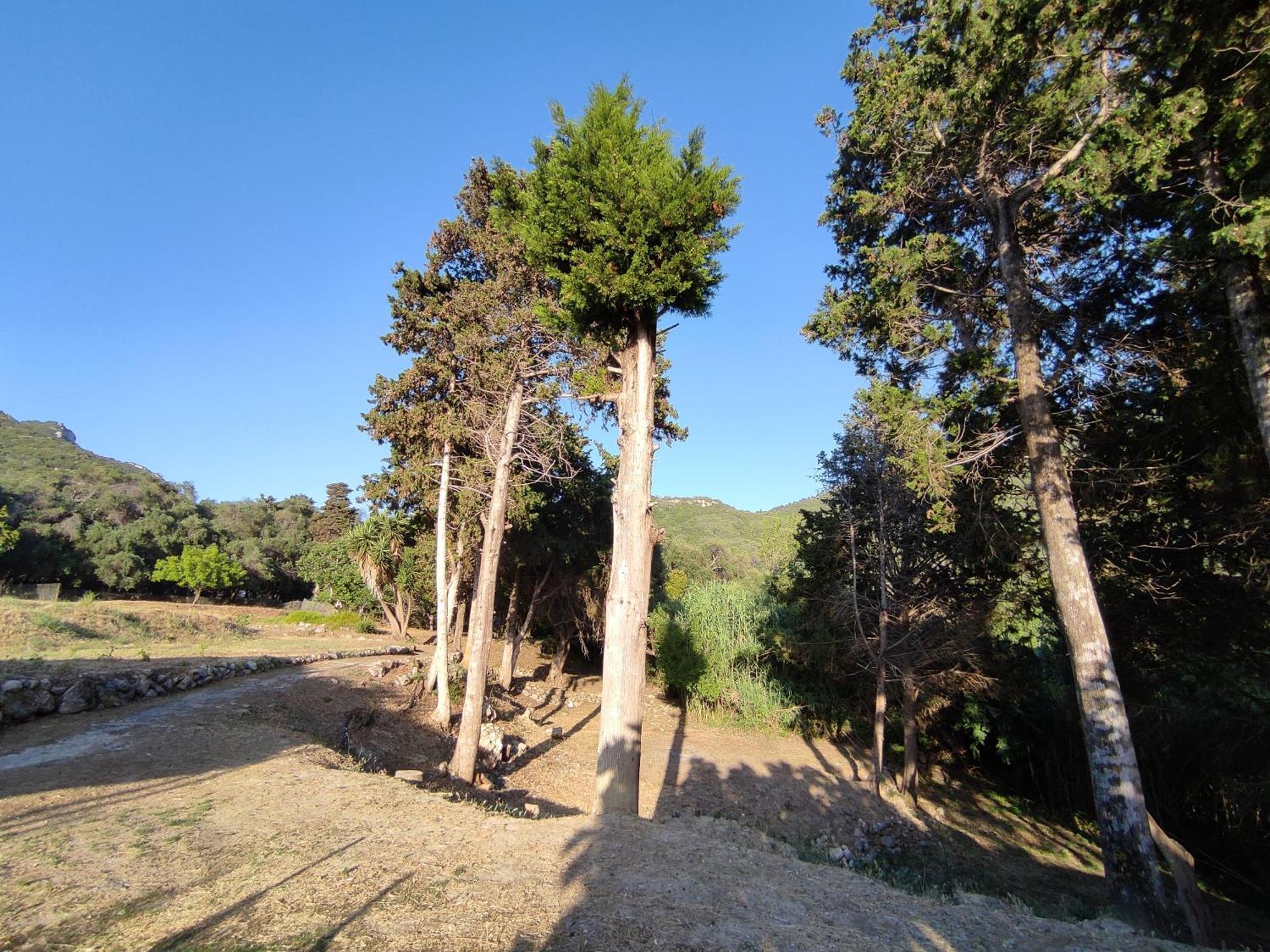 House Theofilos Apartment Paramonas (Corfu)